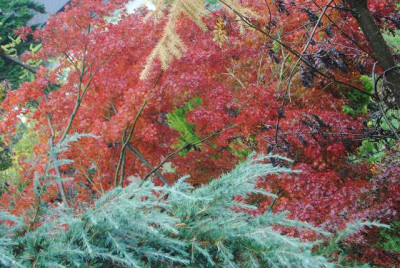 acer_j14.JPG