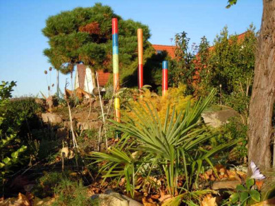 vorgarten_mit_palmle.JPG