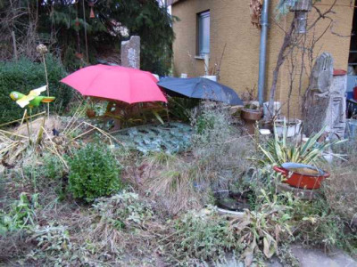 Trachyschutz_Winter_241213.JPG