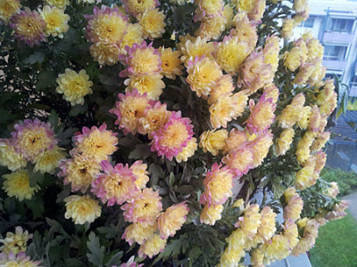 20141119_091405.jpg