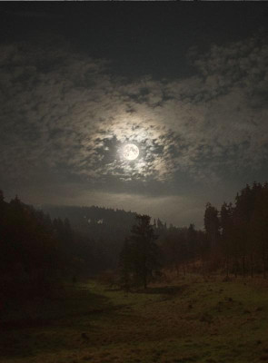 tal_im_Mond.jpg