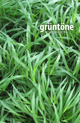 gruentoene_titel.jpg