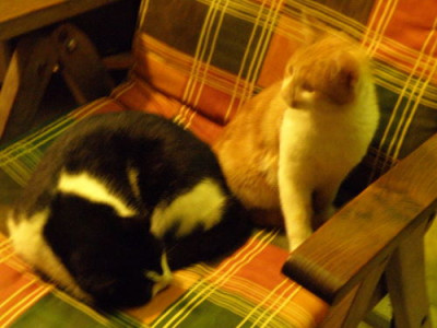 PC025466fF.JPG