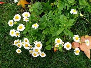 IMG_20141204_130438.jpg
