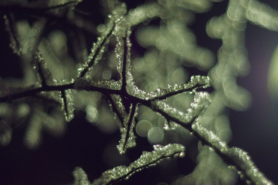 IMGP9914.jpg