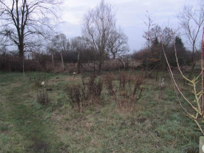 MGP_141206.jpg