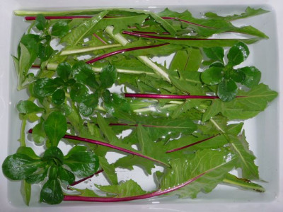 ernte_141216.jpg