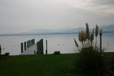 Nov2508a.jpg