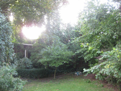a01.jpg