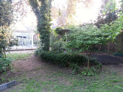 a04.jpg