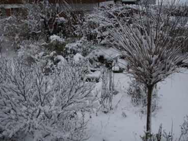 Wintereinbruch2_26.12.14.JPG