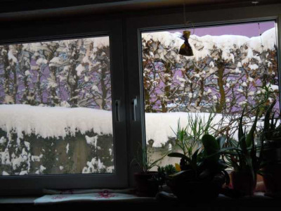 fenster_raus_001.JPG