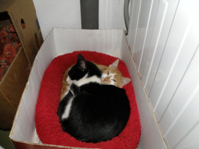 PC275485fF.JPG