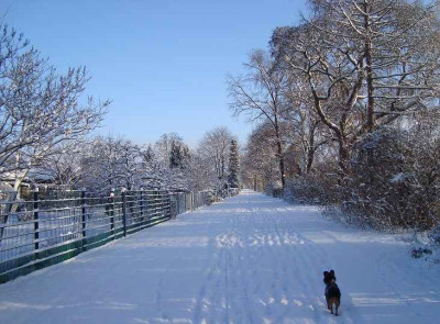 amhohenzollernkanal.jpg