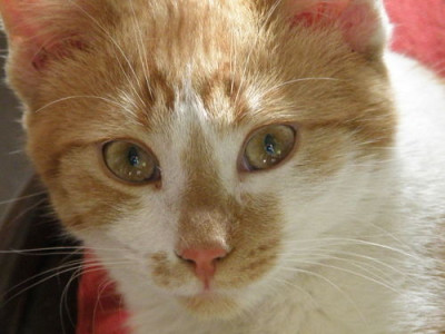 PC255484fF.JPG