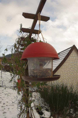 Eimer-Vogelhaus.jpg