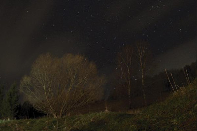 Weide.nacht80.jpg