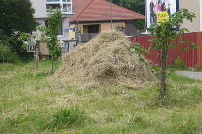 heuhaufen.JPG