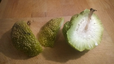 unbekonnte_Frucht.jpg