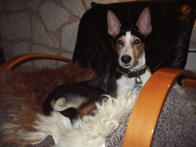 Kibo_Sessel_1.jpg