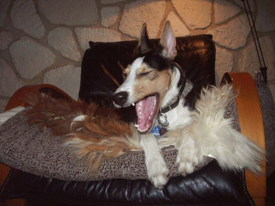 Kibo_Sessel_2.jpg