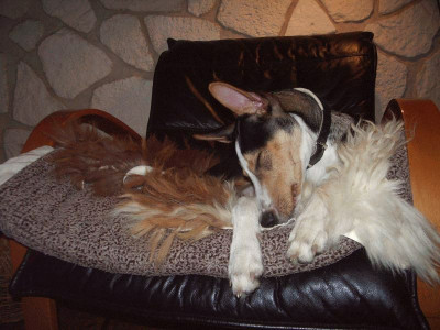 Kibo_Sessel_3.jpg