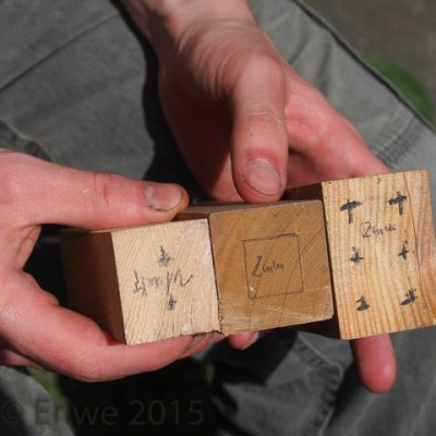 insektenhotel_bohrungen_2014-05_01__2014-04.jpg