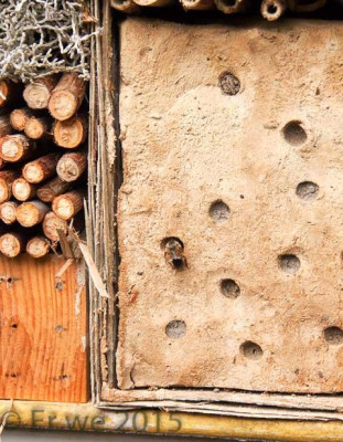 insektenhotel_lehmwand_2014-06.jpg