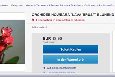 Howeara_lava_burst_Ebay.jpg