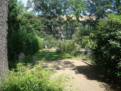 GartenJul2013_klein_-_Kopie.jpg