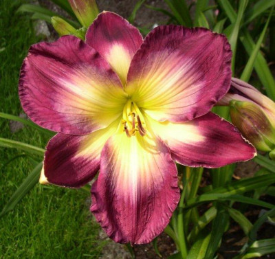 claudines_charm_04.07.12.jpg