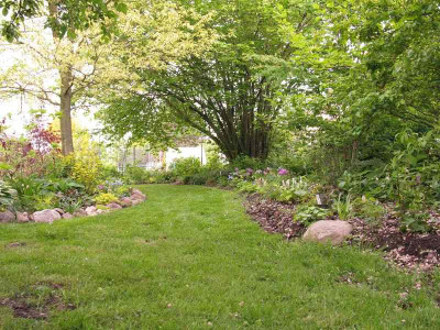 Waldweg.jpg