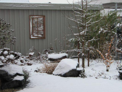 31.Januar15.jpg
