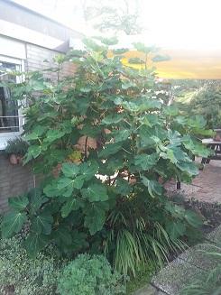 20141004_111735.jpg