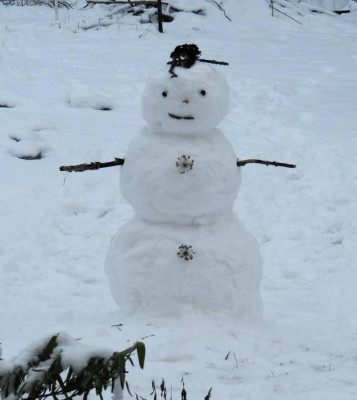 IMG_3514_Schneemann_03-02-2015-.jpg