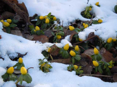 Kampf_durch_den_Schnee.JPG