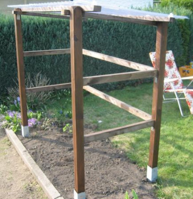 Tomatendachhj.jpg