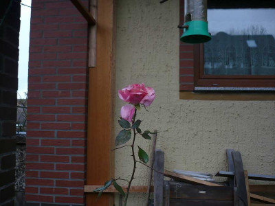 P1000841797_kB.jpg
