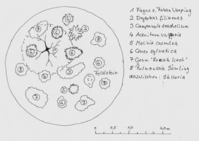 Trolls_Stellaria_Wiese_1024x768.jpg