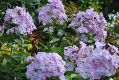 k-Bild2014_310.jpg