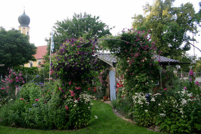 Rosenbogen02007b.jpg