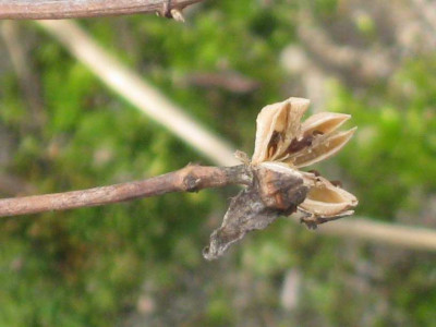 unbek_0211.JPG