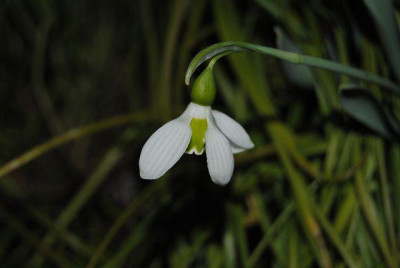 k-feber_017.jpg