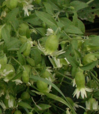 2005-07-31_071a.jpg
