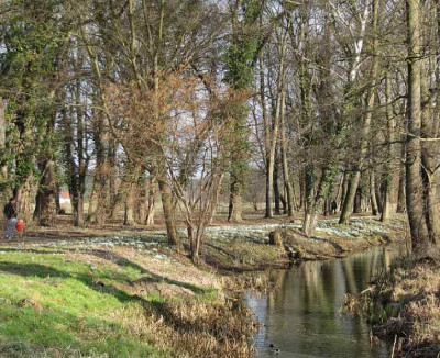 IMG_3713_Schlosspark_Uebigau_07-03-2015_.jpg