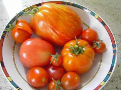 Web_Tomatenmix_02.jpg