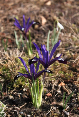 tg_150310_1.jpg