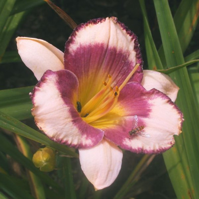 GT02-KR19.3_001.jpg