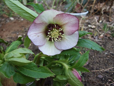 DSCF8441.JPG