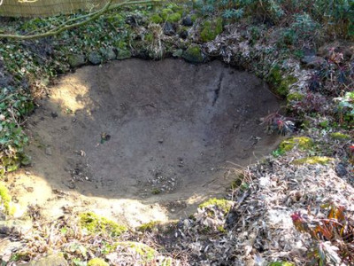 Alter_Teich_fars_2015.jpg